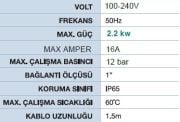 MOMENTUM, DF-15, 3HP, 220V, OTOMATİK, DİJİTAL BASINÇ ŞALTERİ