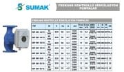 Sumak SSP 65-12  INV  DN65  220V Flanşlı Frekans Kontrollü Sirkülasyon Pompası
