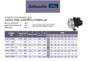 ATLANTİS KAF1 100T  1.HP 380V KOMPLE PASLANMAZ ÇELİK KAPALI FANLI SANTRİFÜJ POMPA