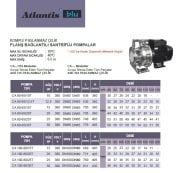 Atlantis CA 65-40/5.5T/316   5.5Hp 380V  Komple Paslanmaz Çelik Flanş Bağlantılı Santrifüj Pompa