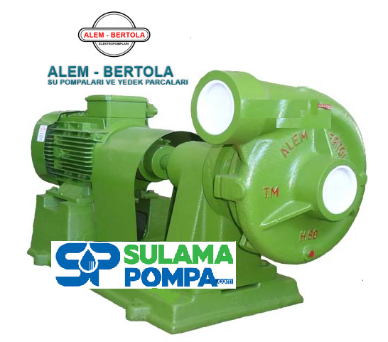 ALEM BERTOLA H60 5.5 HP 380W ŞASELİ ELEKTROPOMP (KAPLİN AKUPLAJLI)