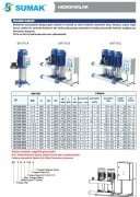 Sumak SHT16A  750/7   1X5.5 kW  380V  Tek Pompalı Düşey Milli Kademeli Hidrofor