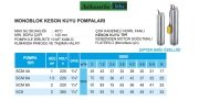 Atlantis Blu  SCM 4A   1Hp 220V  Çok Kademeli  Monoblok Keson Kuyu Pompa (10 m kablolu, kumanda panolu, taşıma halatlı,kendinden motor soğutmalı)