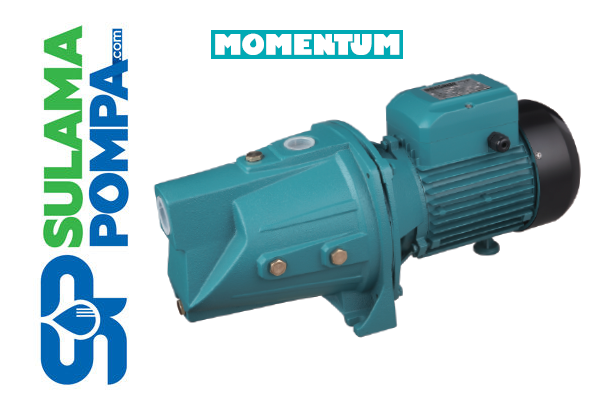 PJWm/3BH 2 HP 220V DÖKÜM GÖVDELİ JET TİPİ POMPA
