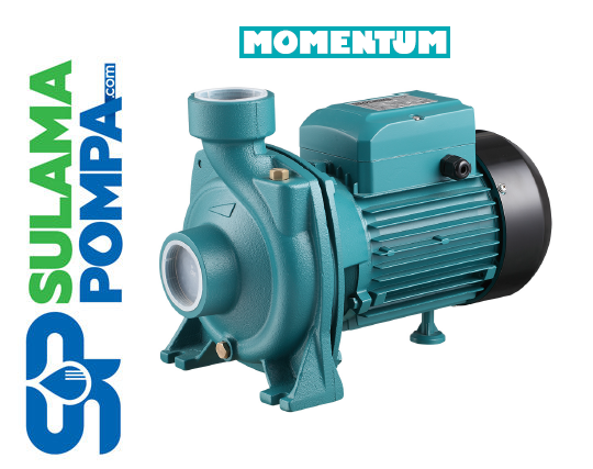 PGM/5BM 1.5 HP 220V TEK FANLI SANTRİFÜJ POMPA