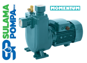 PHSm1500 1.5 HP 220V KENDİNDEN KLAPELİ SANTRİFÜJ POMPA