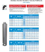 Felsom FP 4E020   2Hp  4'' Tek Dalgıç Pompa (Orjinal İtalyan) (Bağımsız Float Fanlı Sistem)