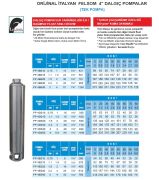 Felsom FP 4E040   4Hp  4'' Tek Dalgıç Pompa (Orjinal İtalyan) (Bağımsız Float Fanlı Sistem)