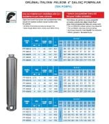 Felsom FP 4F020   2Hp  4'' Tek Dalgıç Pompa (Orjinal İtalyan) (Bağımsız Float Fanlı Sistem)