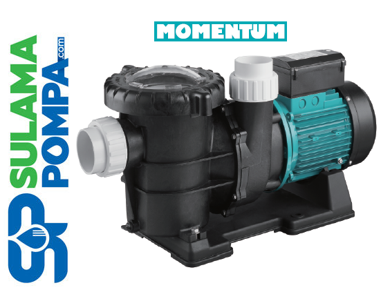 PKPM 1600 - 1600W 220V ÖN FİLTRELİ YÜZME HAVUZ POMPASI