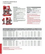 Etna Y3 KO 10/7-30     3X4 Hp 380V  Üç Pompalı Alarm Kitli Yangın Hidroforu