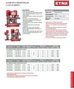 Etna Y3 KO 25/10-110    3X15 Hp 380V  Üç Pompalı Alarm Kitli Yangın Hidroforu
