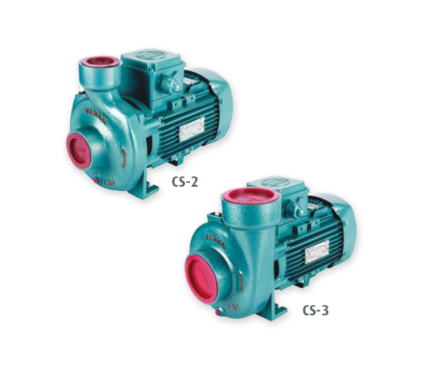 Varan CS-21 - 1 Hp 380V Tek Kademeli Santrifüj Pompa