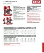 Etna Y3 KO 35/7-150     3X20 Hp 380V  Üç Pompalı Alarm Kitli Yangın Hidroforu