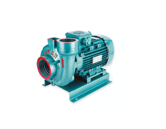 Varan VS-253 - 3 Hp 380V Monoblok Salyangoz Santrifüj Pompa(ŞASELİ)