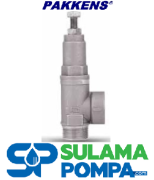 3/4'' 110 DERECE AYARLI EMNİYET VENTİLİ (ERKEK)