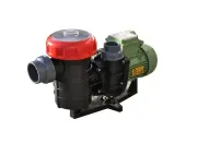 Nozbart Şirin Serisi PM - 3/4 Hp Ön Filtreli Havuz Pompası (Monofaze)