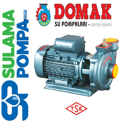 DOMAK SLG1 0,75 HP 220V MEKANİK SALMASTRALI ELEKTROPOMP