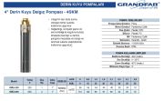 Grandfar 4SKm100  1Hp 220V  4\'\' Derin Kuyu Paket Dalgıç Pompa