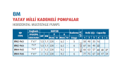Varan BM2-9x6 - 1.5 Hp 220v Yatay Milli Kademeli Pompa