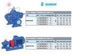 Sumak SMC270/80  37kW 380V Döküm Gövdeli Çift Emişli Yatay Santrifüj Pompa -2900 d/d- FİYAT BİLGİSİ İÇİN BİZİMLE İLETİŞİME GEÇİNİZ.