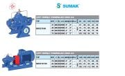 Sumak SMC310/100  75kW 380V Döküm Gövdeli Çift Emişli Yatay Santrifüj Pompa -2900 d/d- FİYAT BİLGİSİ İÇİN BİZİMLE İLETİŞİME GEÇİNİZ.