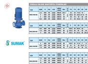 Sumak SML160/40  4kW 380V İNLİNE SANTRİFÜJ POMPA - 2900 d/d